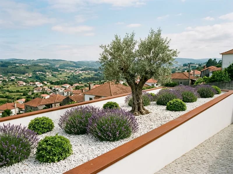 Canteiro de gravilha branca com oliveira e lavanda